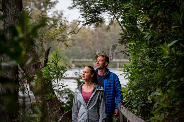 Shared Hastings Caves, Tahune and Huon Valley Tour