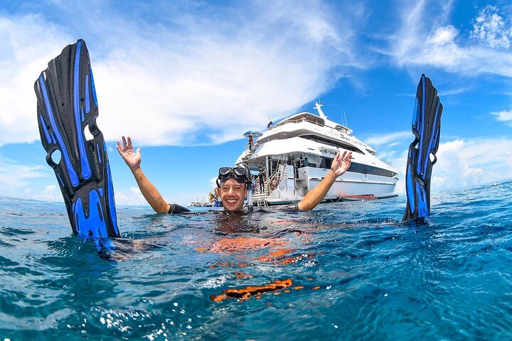 2 Day Great Barrier Reef, Daintree Rainforest and Cape Tribulation