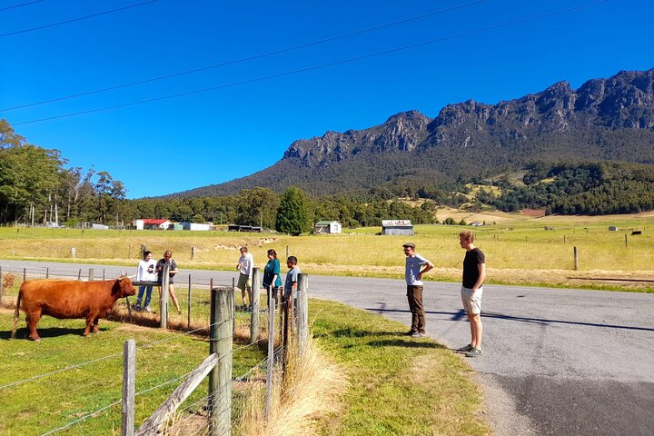 Big Day Out from Hobart to Cradle Mountain