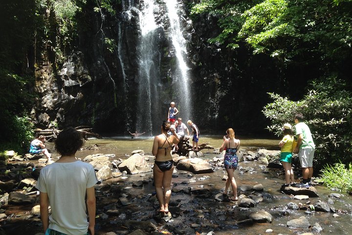 Private Tour: Tropical Rainforest and Waterfalls Day Trip from Cairns
