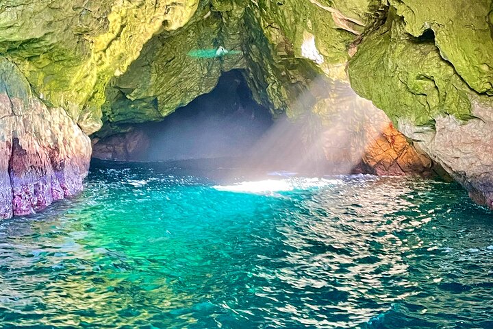 Ile Des Phoques and Maria Island Cruise Day Tour with Lunch