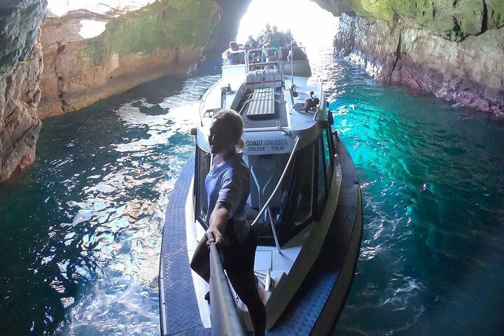 Ile Des Phoques and Maria Island Cruise Day Tour with Lunch