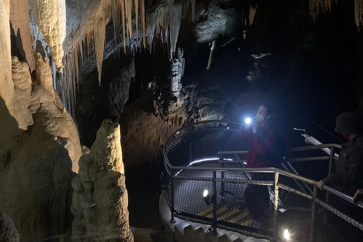 Shared Hastings Caves, Tahune and Huon Valley Tour