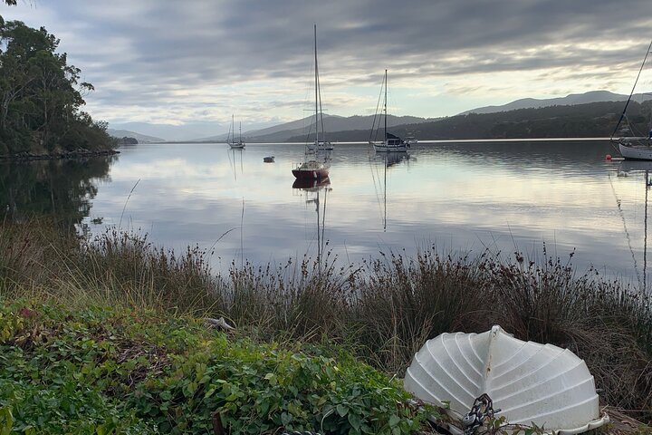 Shared Hastings Caves, Tahune and Huon Valley Tour