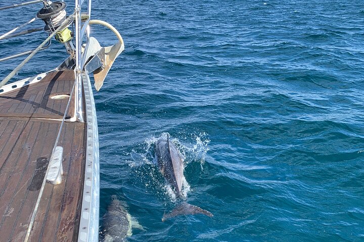 2 Hour MIDDAY Cruise with Getaway Sailing on the Gold Coast