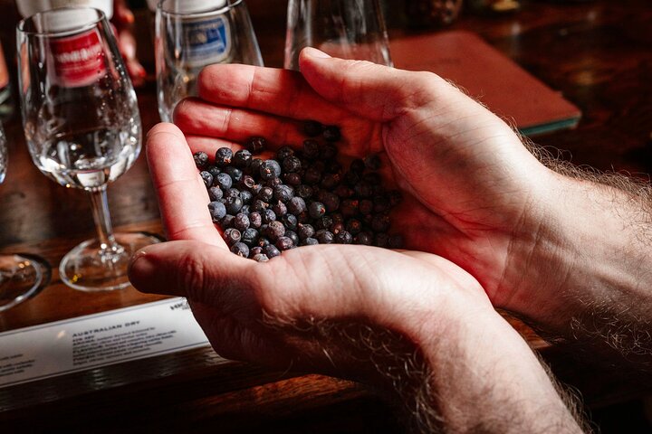 Hickson House Distilling Immersive Gin Tour and Tasting!