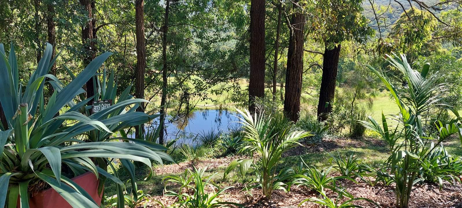 Hunter Valley Wine Wildlife Watagans Wilderness and Railways