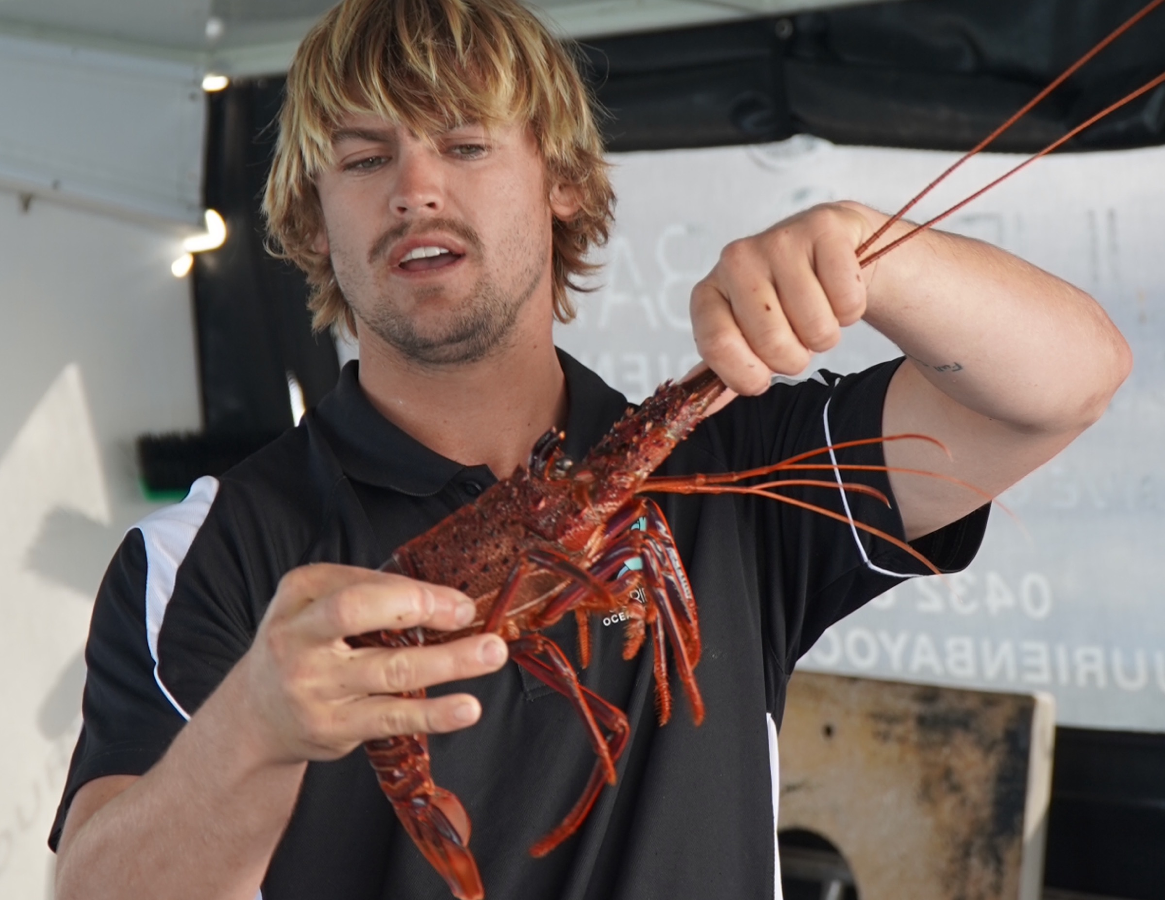 Rock Lobster Catch and Keep Boat Tour