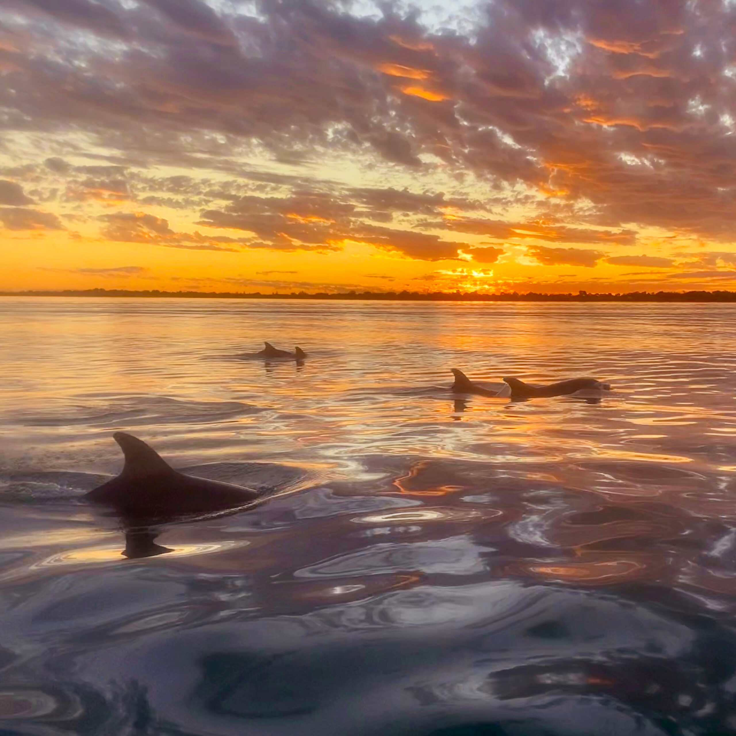 Sunset Cruise