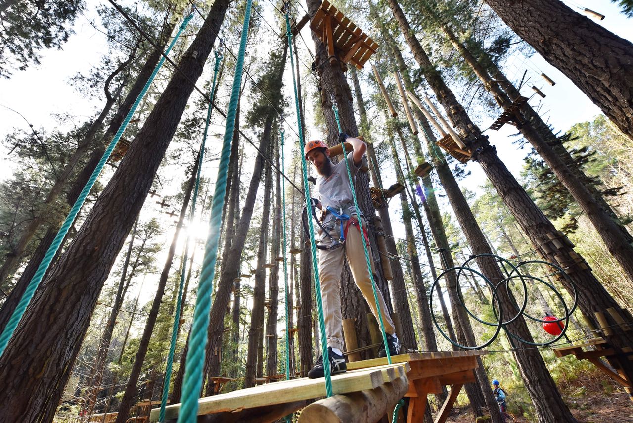 Treetops Climb Session (2.5 hrs)