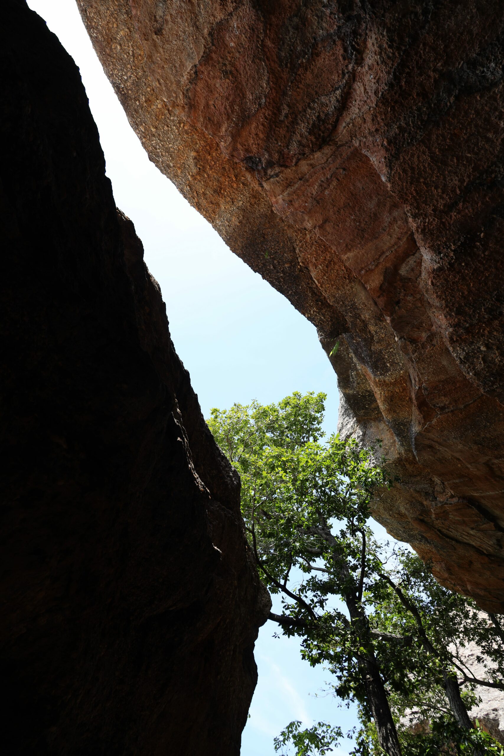 Kakadu Rock Art Tours