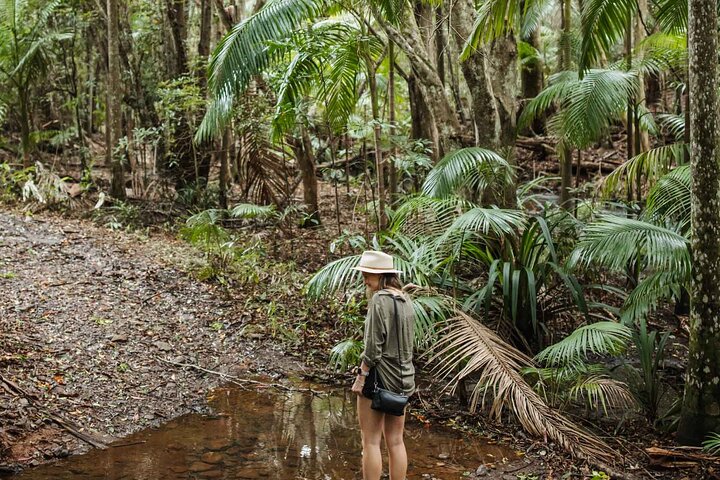 3-Day Brisbane to Byron Food Trail