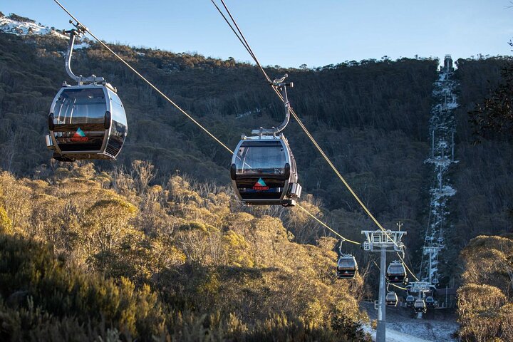 Thredbo & Perisher Bus Trip from Canberra