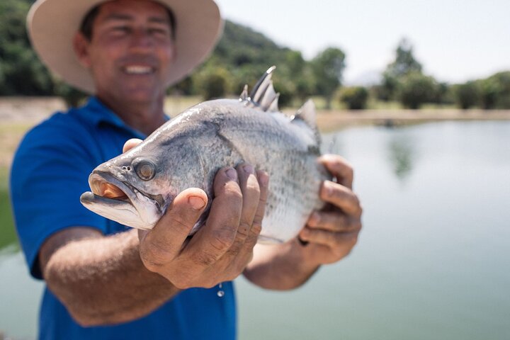 Hook-A-Barra Fishing and Farm Activity