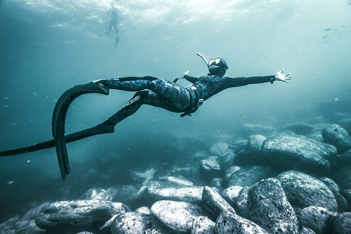 4-Hour Freediving Taster Experience at Bondi Beach