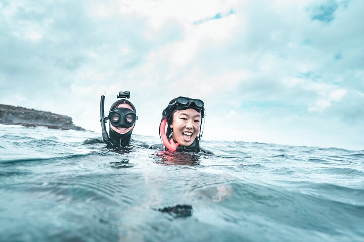 4-Hour Freediving Taster Experience at Bondi Beach