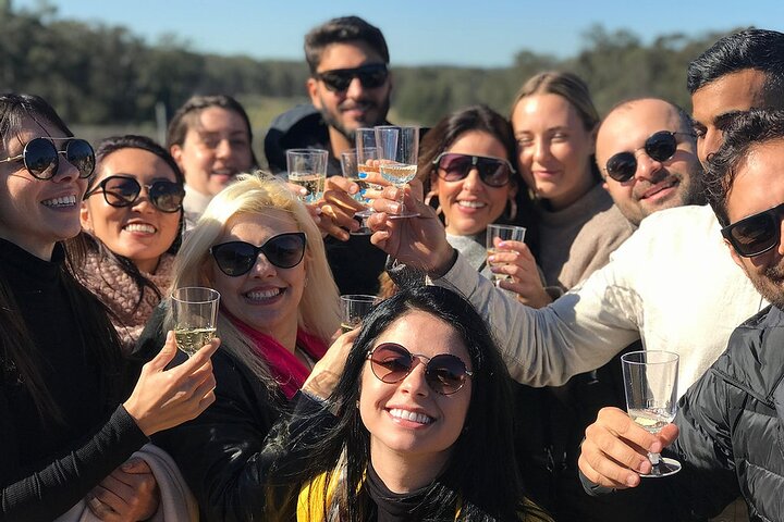 Hunter Valley Wine Tasting Guided Day Tour