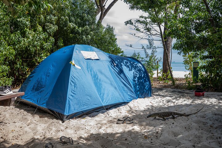 Whitehaven Beach Camping Shared Transfer