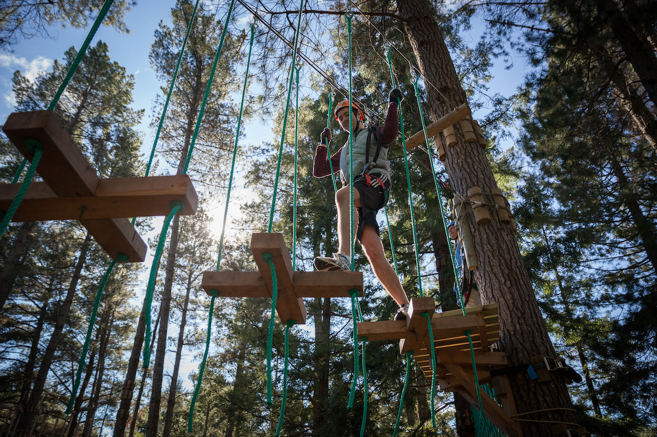 Tree Ropes Course