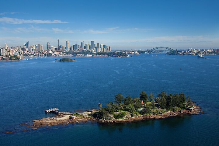 Sydney Hop-on-Hop-off Cruise and Whale Watching Cruise