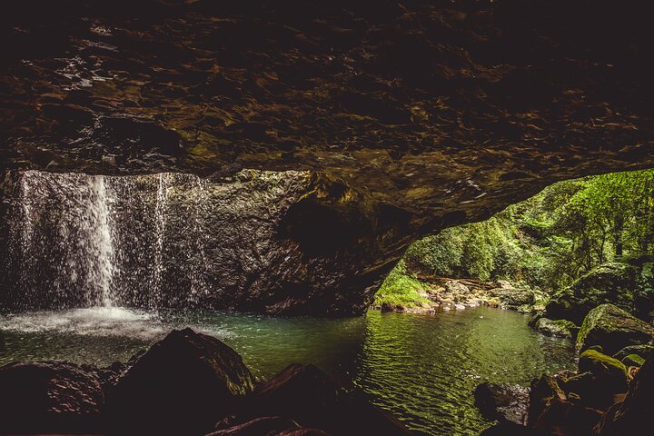 Springbrook National Park and Hot Air Balloon Tour in Queensland