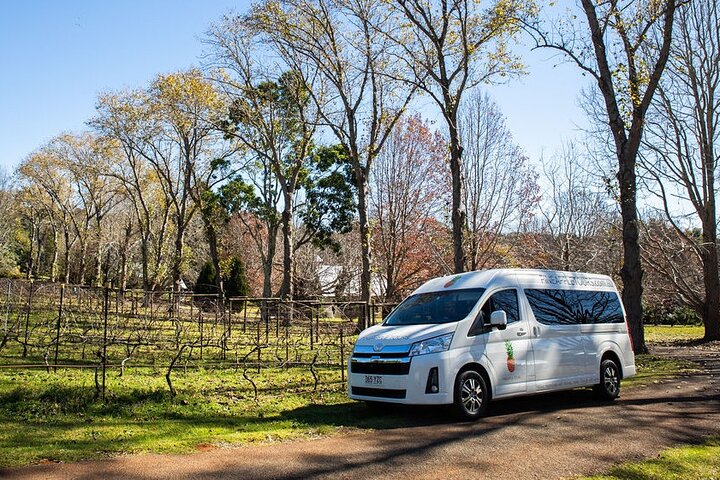 Mt Tamborine Shuttle Service