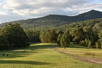 Hunter Valley Wine Wildlife Watagans Wilderness and Railways