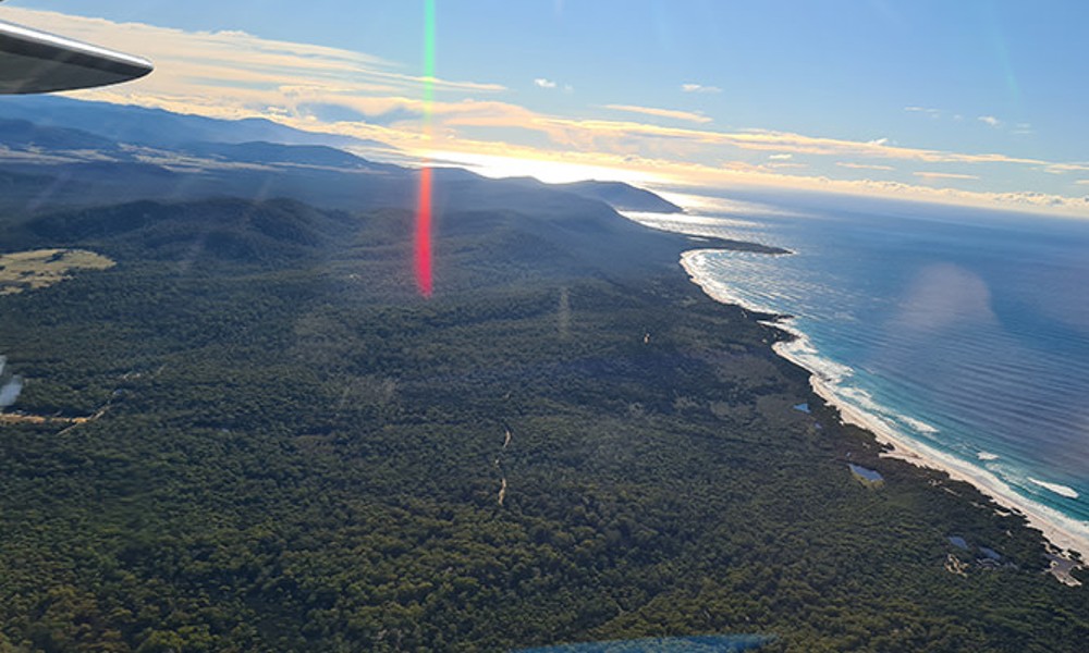 Maria Island Scenic Flight - 60 Minutes