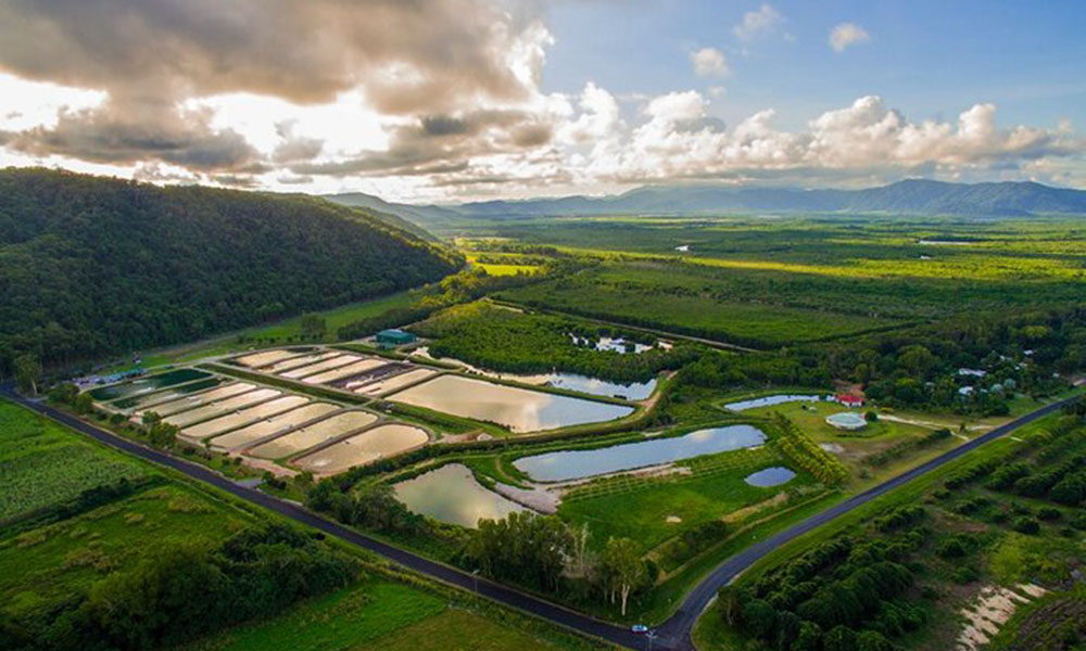 Hook A Barra Fishing and Farm Tour