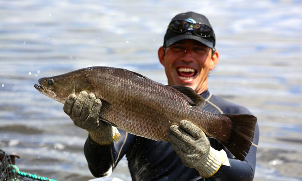 Hook A Barra Fishing and Farm Tour