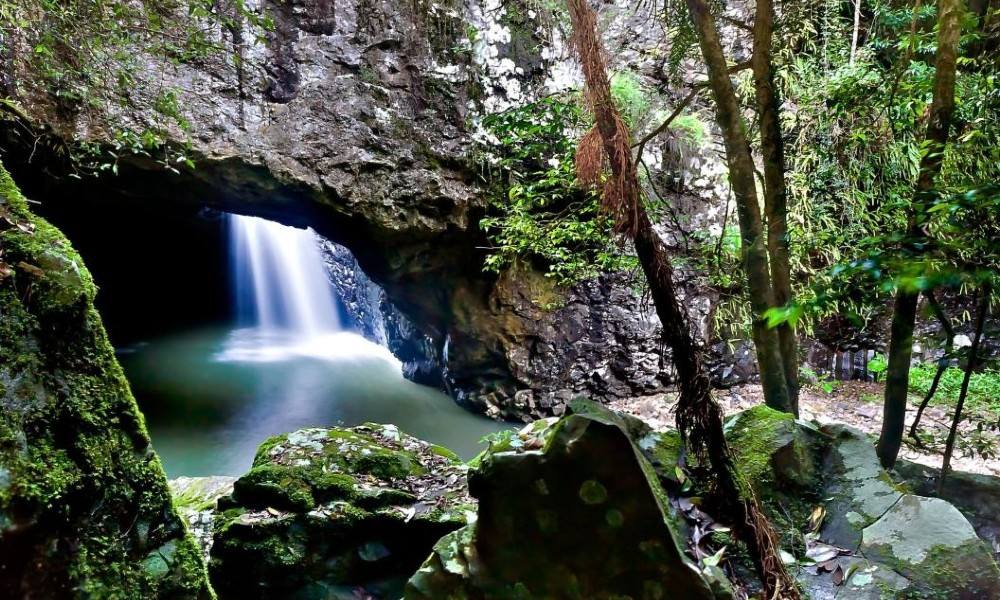 Aquaduck + Gold Coast Hinterland Tour