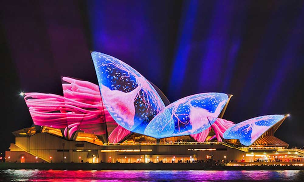 Vivid Sydney Harbour BYO Catamaran Cruise with Snacks