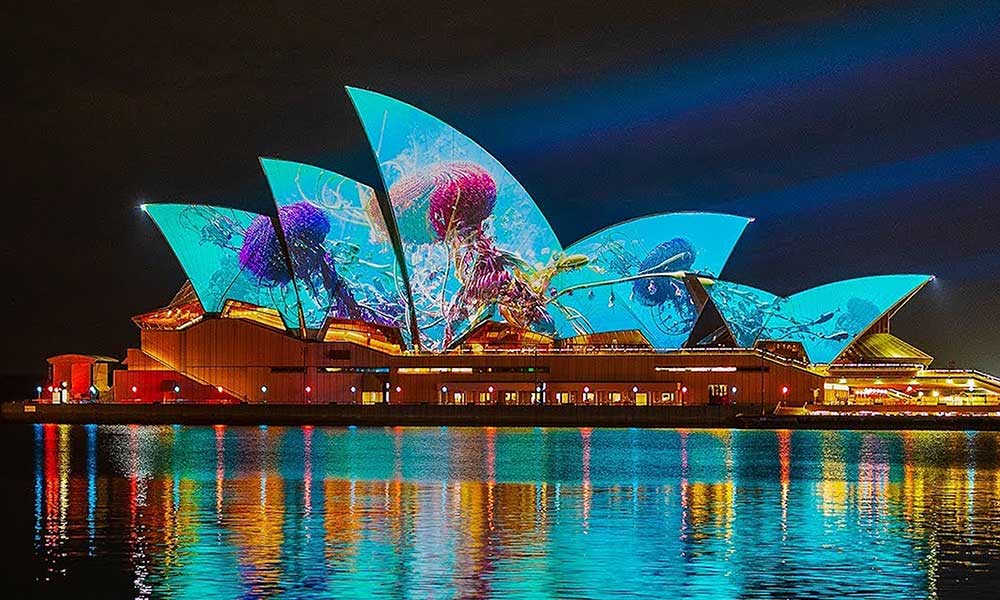 Vivid Sydney Catamaran Cruise with Canapes and Beverage