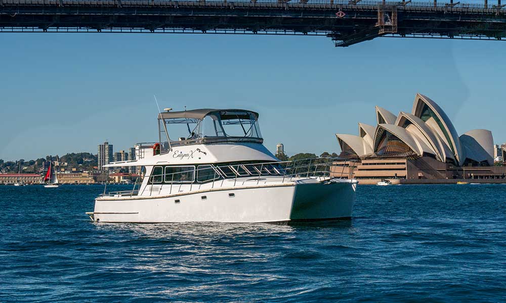 Vivid Small Catamaran Cruise with Snacks and Drink