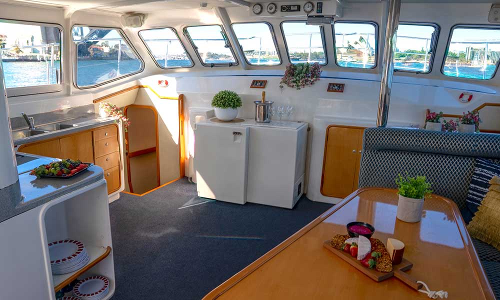 Vivid Small Catamaran Cruise with Snacks and Drink