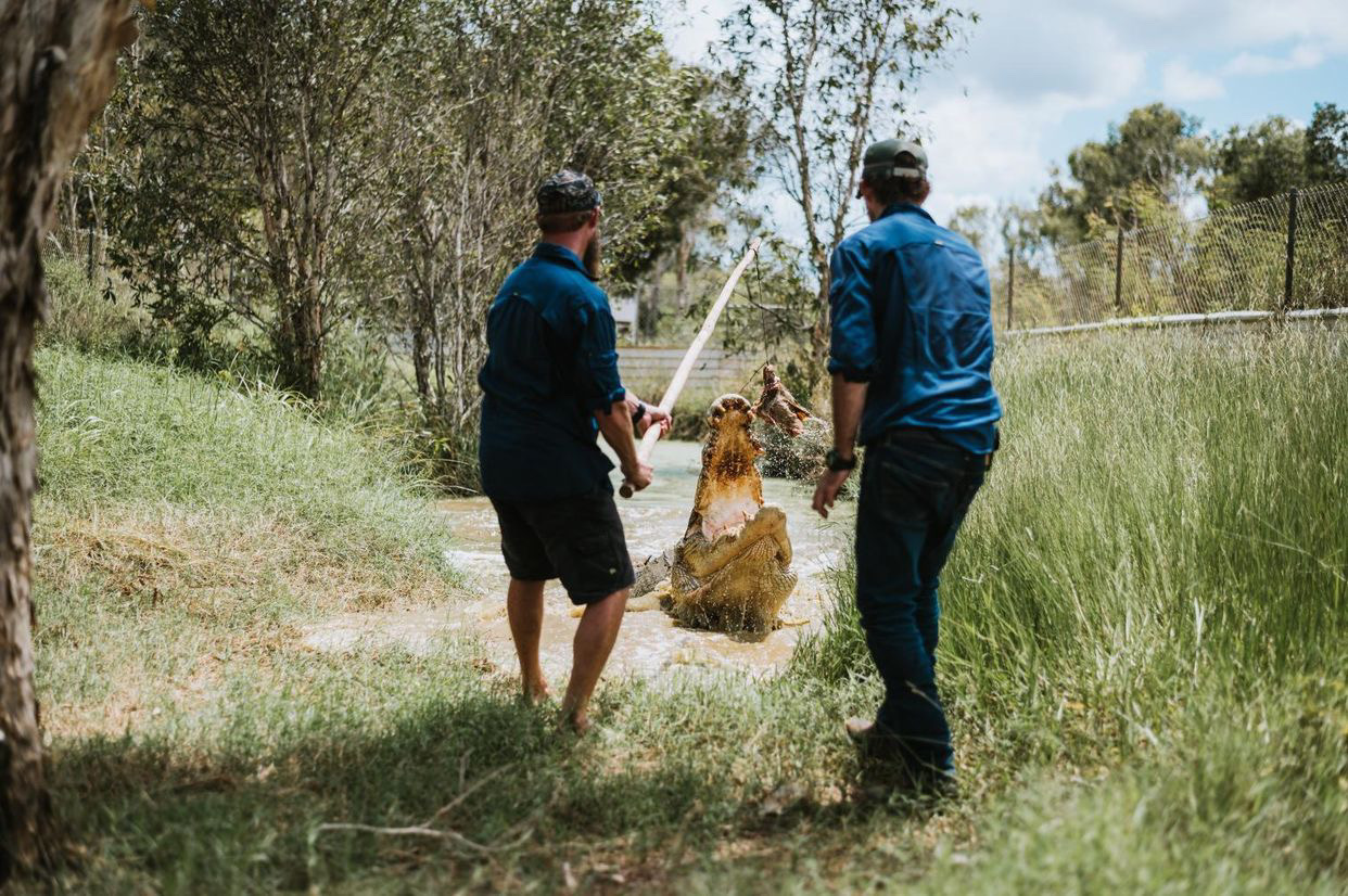 Top End Safari Camp Day Tour