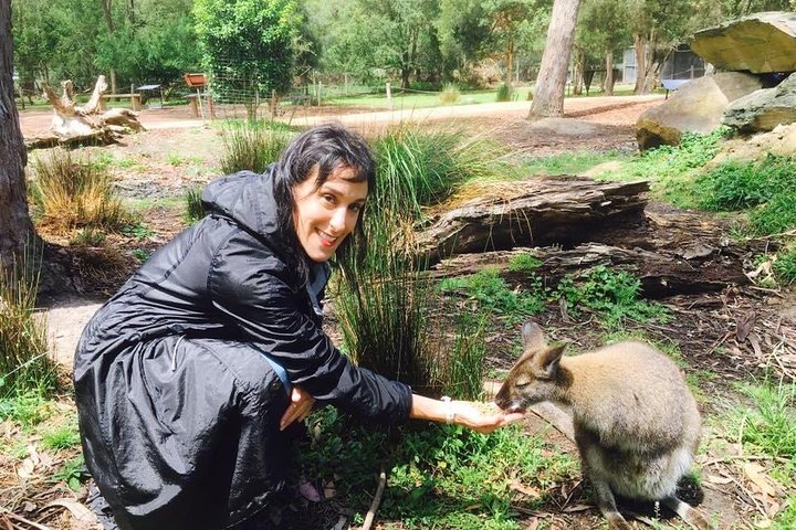 Yarra Valley Wine, Food and Wildlife Private Tour