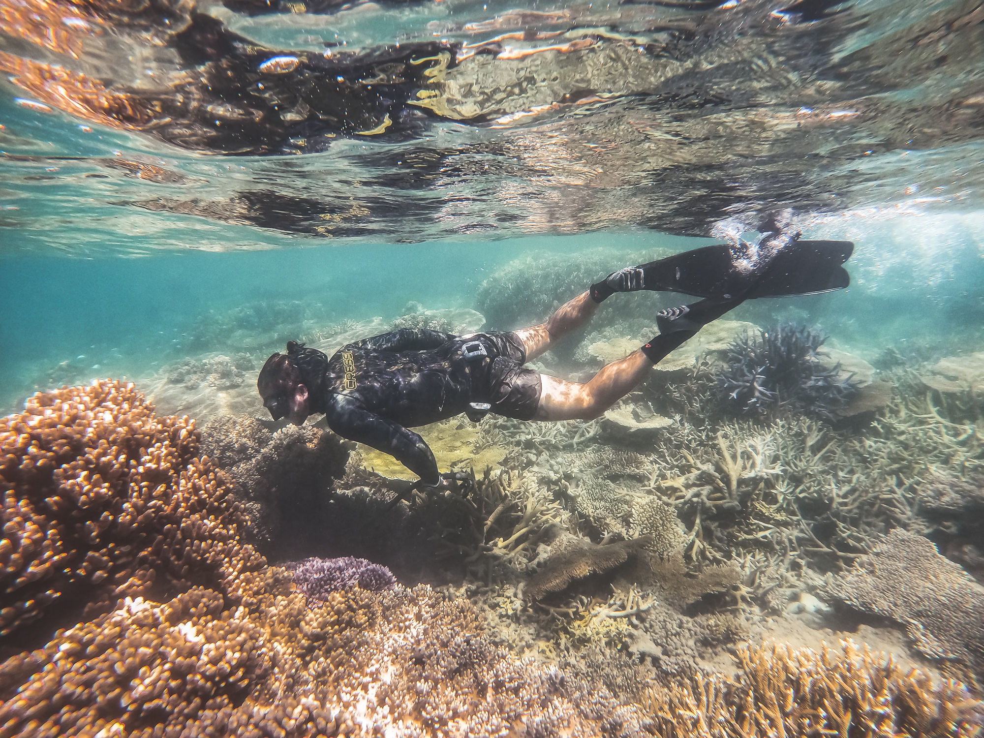 Explore The Great Barrier Reef - Port Douglas