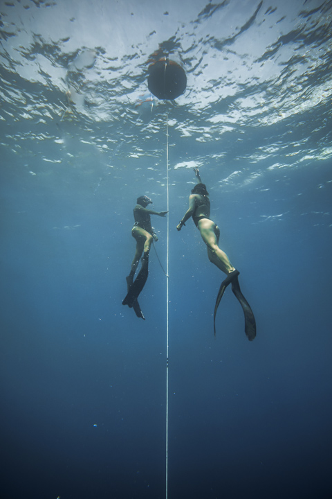Freediving Course - Mooloolaba - 2 Day