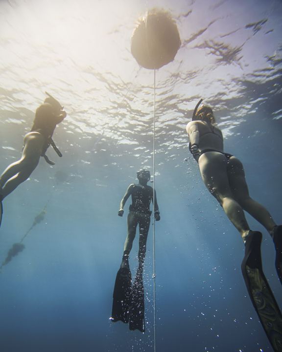 Freediving Course – Airlie Beach – 2 Day