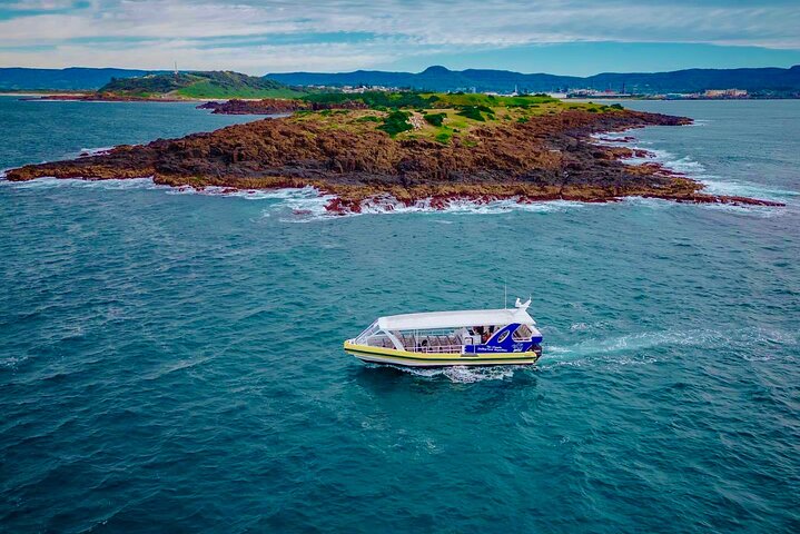 Whale Watching Cruise in New South Wales