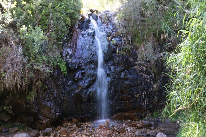 Waterfall Gully to Mt Lofty Guided Hike