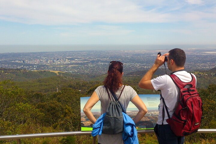 Waterfall Gully to Mt Lofty Guided Hike