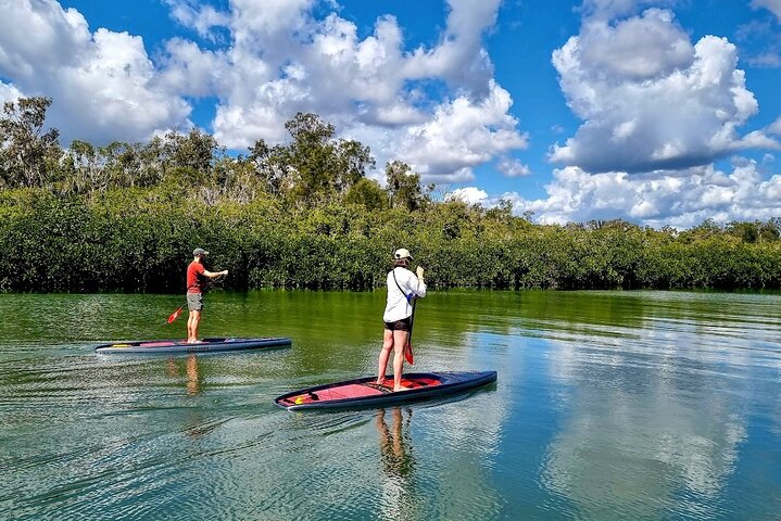 Stand Up Paddle Private Tour