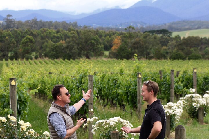 Private Yarra Valley Tour