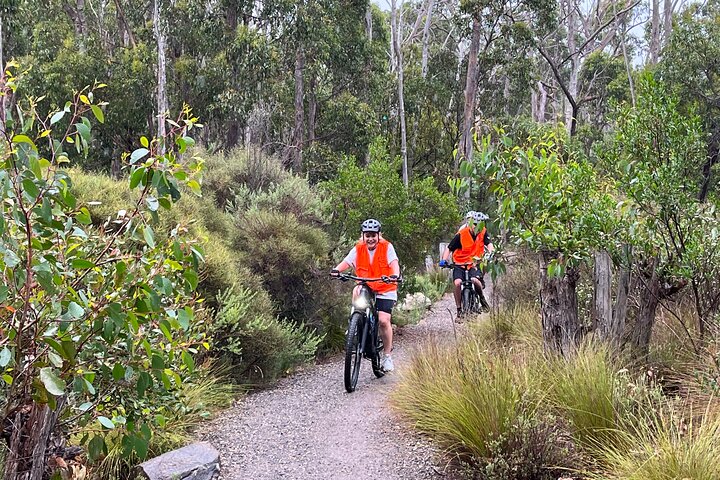 Adelaide Hills Half-Day E-bike Rental