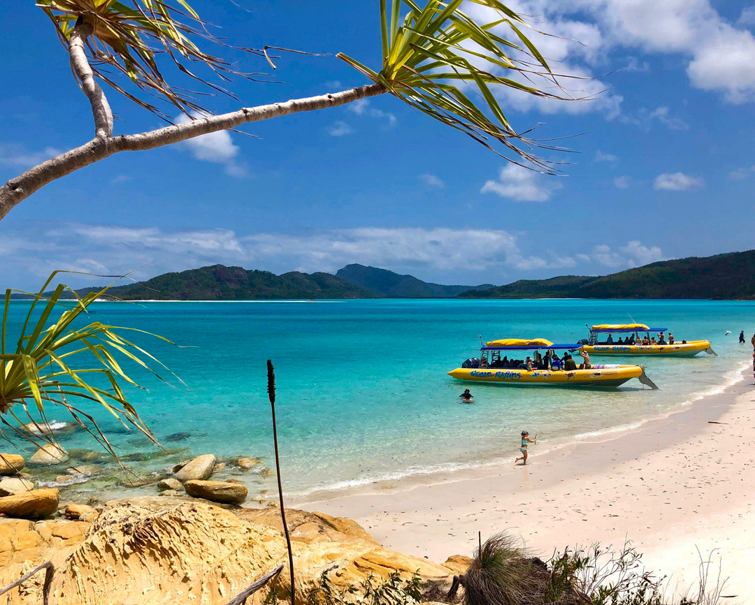 Daydream Island Northern Exposure tour