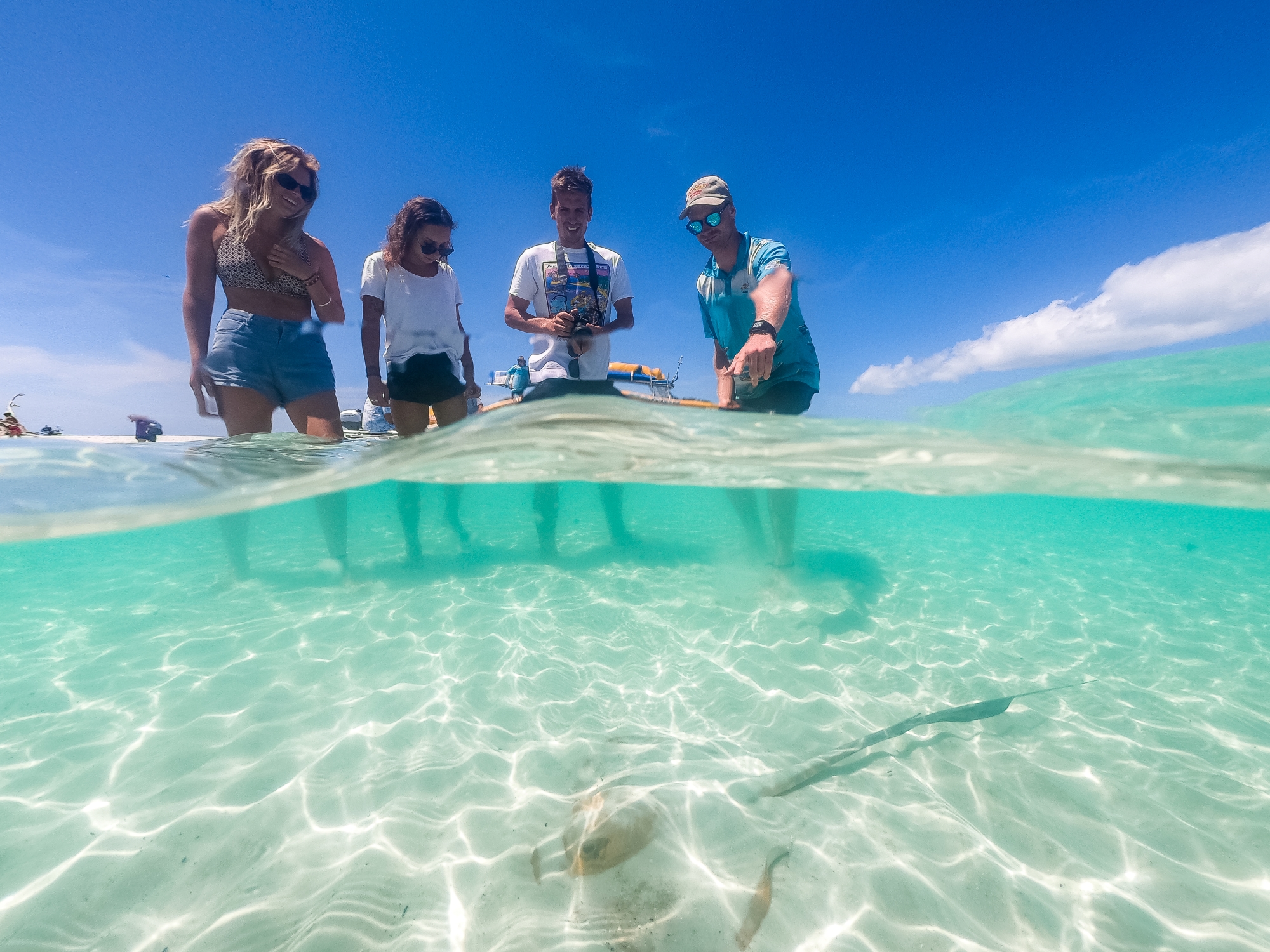 Daydream Island Northern Exposure tour