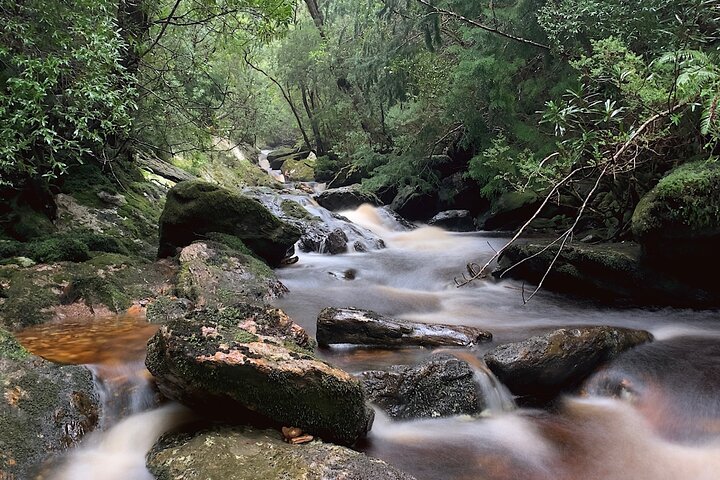 4-Day Private Tasmania Wilderness and Whiskey walks.