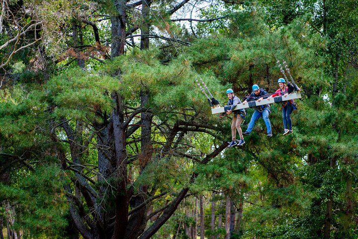 Rock Climb, Zipline and Mega Swing Experience